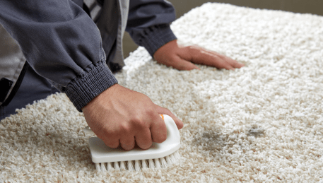 Professional Rug Cleaning Anakie